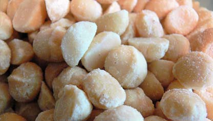 Macadamia nut