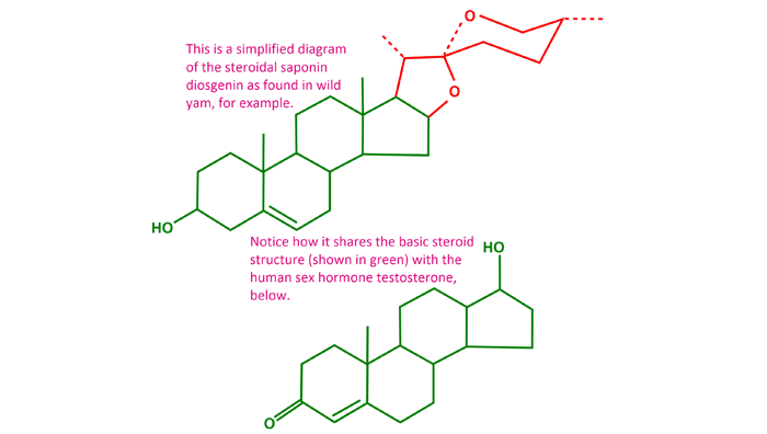 Herbs with sex hormone-like chemicals